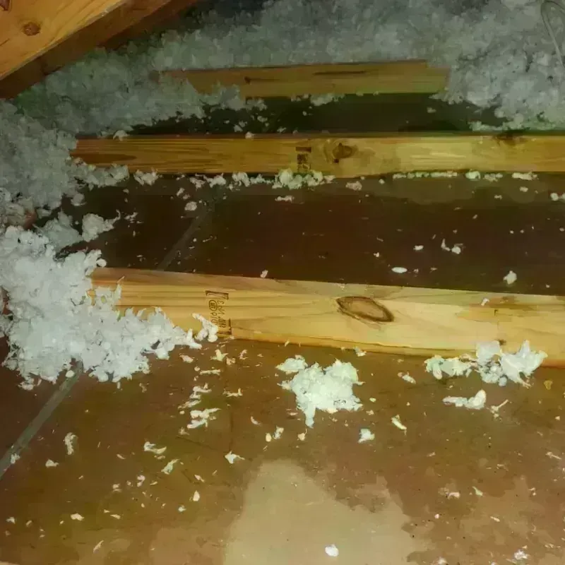 Attic Water Damage in Puhi, HI